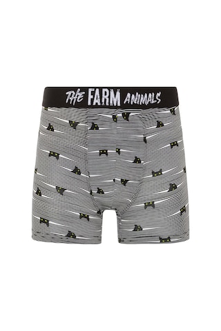 Farm Animals Yellow Eyed Hide N Cat Desenli Boxer gri
