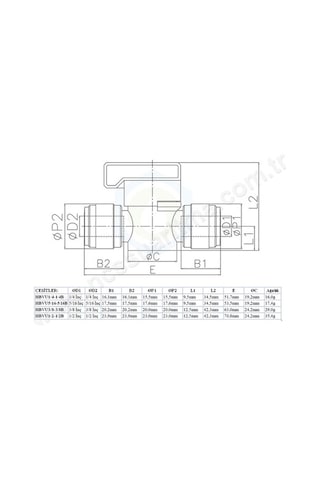 Cdc Fluidfit 1/4 Inç Plastik Küresel Vana