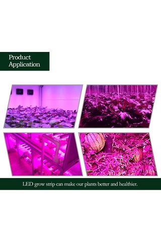 Moly 5m 5050 Smd Bitki Büyüme Işık Şeridi - 60 Led/m - Kırmızı-mavi Ip20 Dc12v Sera/hidroponik Diğer