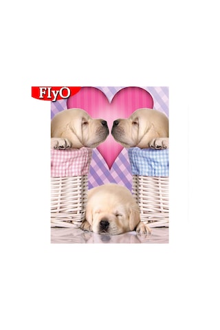 Çok Renkli 5d Elmas Boyama Tam Matkap Kare Çapraz Dikiş Dıy Elmas Nakış Boncuk Resim Kitleri Hayvanlar Ev Dekor 30x40cm