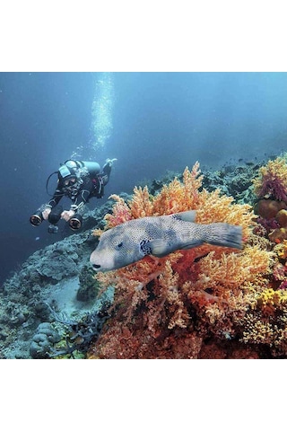 Sublue Whiteshark Mixpro Beyaz Su Altı Deniz Scooter