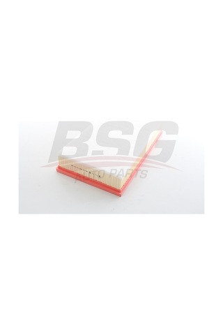 Bsg Hava Fıltresı E1305l Sungerlı Bsg Hava Fıltresı E1305l Sungerlı