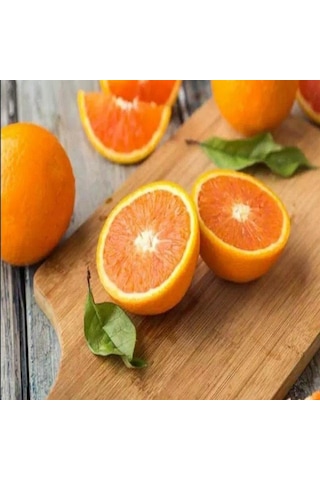 Tüplü Aşılı Fukumoto Portakal Fidanı 2 Yaş 100-120 Cm