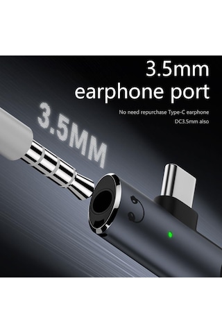 Lexroo 2in1 Type C To 3.5mm Kulaklık Type C 100w Hızlı Şarj Dönüştürücü Otgcx Standart