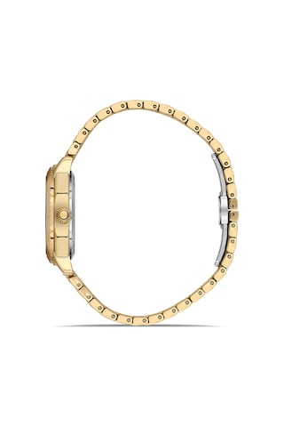 Ferro Fl21632awt-b2 Quartz Çelik Altın Rengi Siyah Kadran 32 Mm Kadın Kol Saati Altın