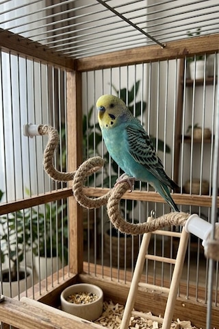 2'li Doğal Ahşap Ve Jüt Kuş Tüneği Seti 90 Cm Esnek Muhabbet Kuşu
