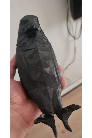 Kartal Led Lamba Duvara Montaj Pilli Model Siyah Renk Siyah