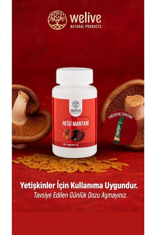 Reişi Mantarı 1000 Mg Günlük Destek 60 Kapsül Bitkisel Takviye