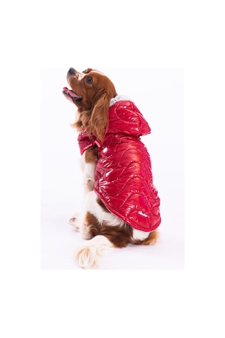 Pawstar Kırmızı Light Wave Anorak Yelek Köpek Yeleği
