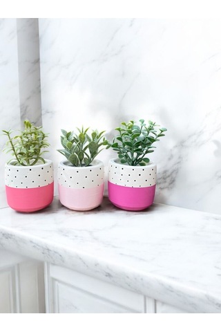 Renkli Saksı Seti Sukulent Kaktüs Dekoratif Eşya- Ev Dekorasyon - Saksı Seti 2