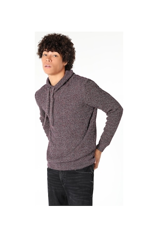 Colin's Colins Slim Fit Bordo Erkek Kazak Cl1060914 Bordo