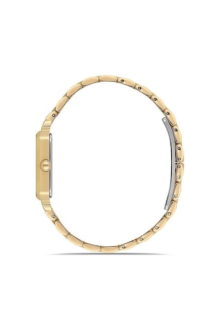 Momentus Cs223g-02sg Kol Saati Sarı