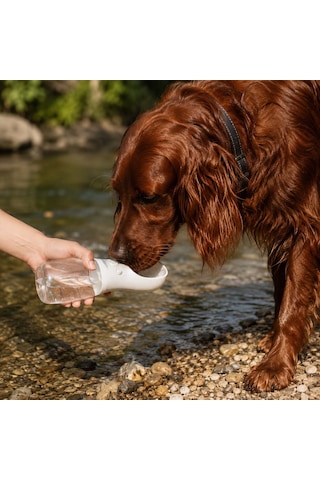 Patikadan Taşınabilir Kedi - Köpek Su Matarası