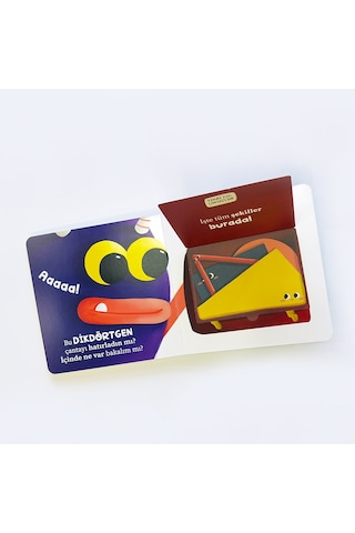 Tonton Tonki ile Şekiller - Kevser Özer - Sincap Kitap