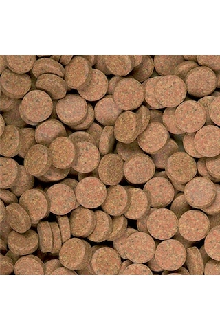 Tropical Supervit Tablets A 250 Adet Balık Yemi