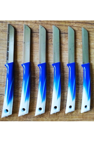 Solingen Marka Meyve Bıçağı 6'lı Set - Saks Mavisi