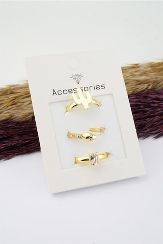 Kadın Özel Tasarım Ayarlanabilir Numarasız Zirkon Taşlı Kaktüs Ve Yılan Figürlü 3'lü Kombin Yüzük Seti-3133 Altın