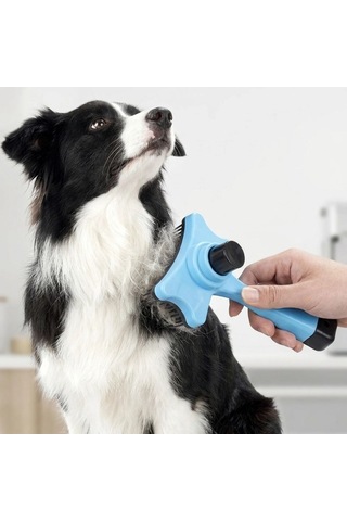 Jasmine Glow Evcil Hayvan Kedi Köpek Tüy Toplayıcı Otomatik Tuşlu Pet Tarak