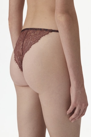 Penti Kahverengi Printed Micro Lace Brazilian Külot Bn83
