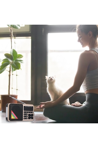 Springsun Y-509 Modeli Fm Radyo: Led Fenerli, Mp3 Çalar, 1500mah Şarj Edilebilir Pil Ve Usb Kablosu İçeren Taşınabilir Cihaz