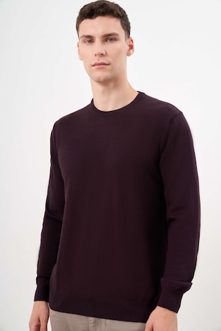 Morven Erkek Mor Basic Bisiklet Yaka Dynamic Fit Rahat Kesim Triko 26kc017006309 Mor Mor