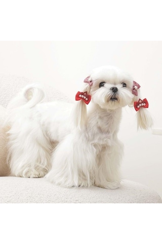 M-pets Glam Fiyonklu Kedi Ve Köpekler İçin Aksesuar Toka Kırmızı Mor