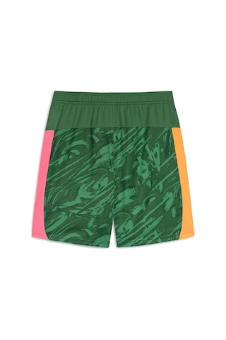 Gsstore Galatasaray Puma 2025/2026 Kaleci Yeşil Şort 78074480 Yeşil