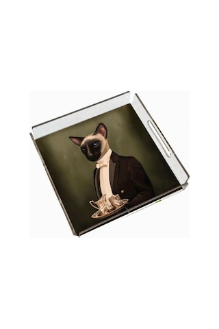 Mr. Cat Pleksi Tepsi - 25x25cm