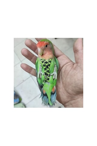 Taban Örtüsü 3x10 Metre Sera Taban Örtüsü Jüt Siyah Taban Örtüsü Malçlama Örtüsü Yer Örtüsü