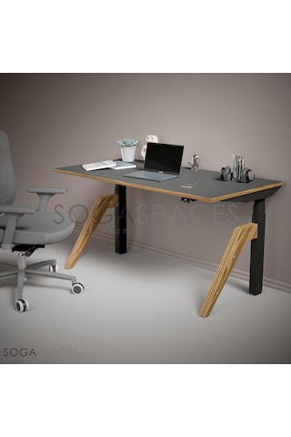 Regula Desk Dandy - Elektrikli Yükseklik Ayarlı Çalışma Masası, Sıradışı Tasarım, Çift Motorlu, Bluetooth Ko Çok Renkli