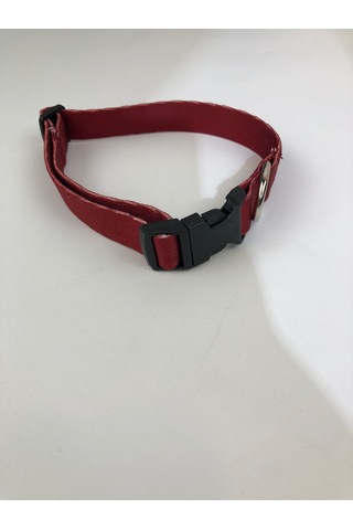 Mita Ayarlanabilir Köpek Boyun Tasması Kırmızı