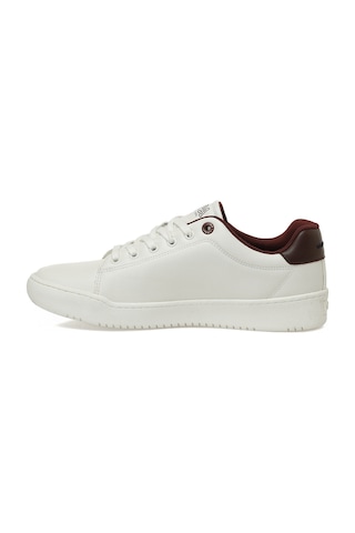 U.s. Polo Assn. Palpı 5pr Beyaz Erkek Sneaker 000000000102032103 Beyaz-bordo