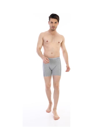Çift Kaplan Erkek Elastanlı Biyeli Gri Melanj Uzun Boxer 855 Gri