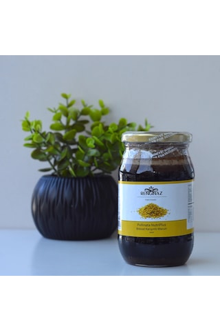 Pollinata Nutriplus Bitkisel Karışımlı Macun 420 Gr