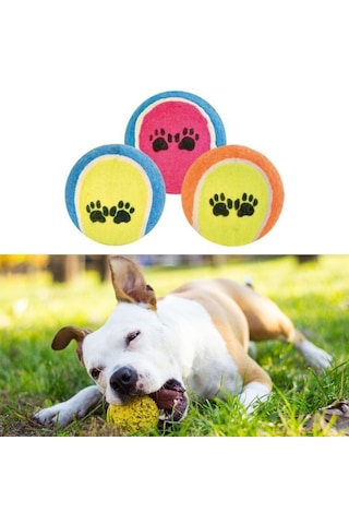 3& Apos Lü Renkli Desenli Tenis Topu Kedi Köpek Oyuncağı 5639