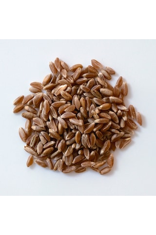 Kappadokia Atalık Kızıl Buğday Dinkel Spelt Un 5 KG