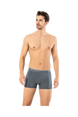 Erdem Füme Pamuk Elastan Klasik Boxer 1445 Füme