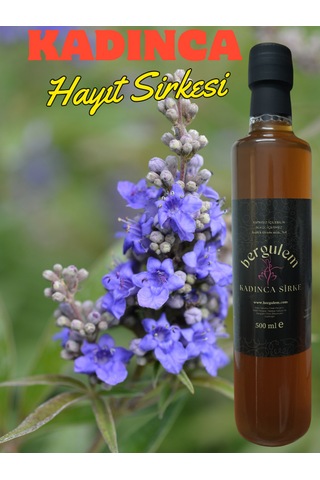Bergulem Doğal Kadınca Hayıt Sirkesi 500 ML