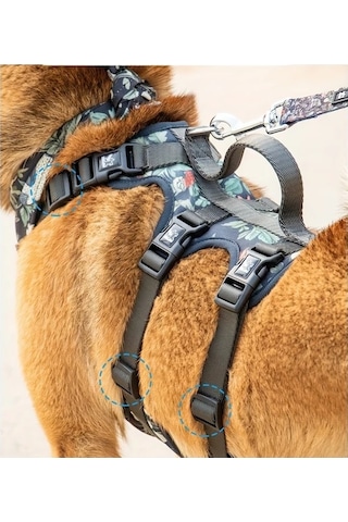 Honeybeeshop L Harness Ayarlanabilir Köpek Tasması Tasma Bandana Yaka Küçük Büyük Irklar İçin Nefes Alabilir Yumuşak Yürüyüş Ekipmanı Altın