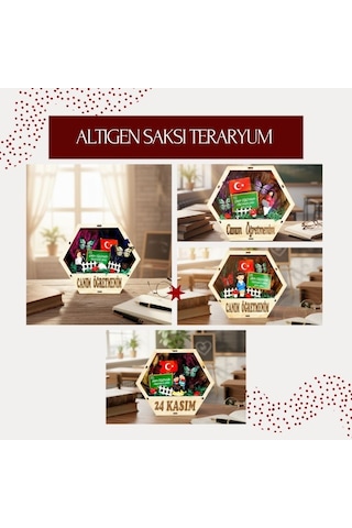 Altıgen Saksı Teraryum - Öğretmenler Günü Hediyesi 1