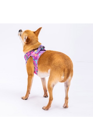 Pawstar Air-mesh Rosea Camouflage Köpek Göğüs Tasması Large Kamuflaj