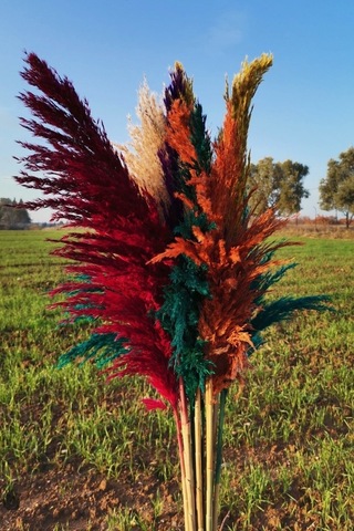 15'li Dekoratif Karışık 100cm Boyunda Pampas Çok Renkli