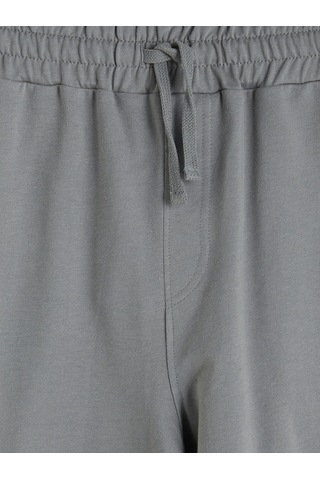 Lcwaıkıkı Classic Gri Regular Fit Erkek Şort