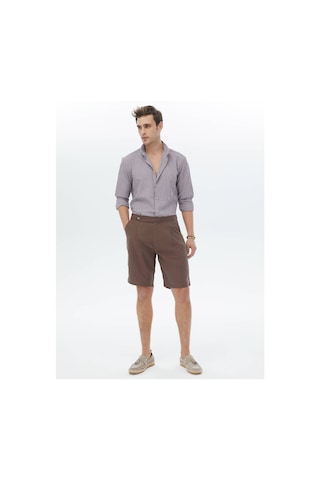 Kip Kahverengi Dokuma Carrot Fit Casual Bermuda Çok Renkli