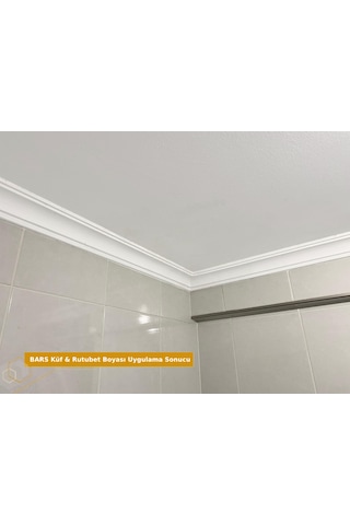 Bars Küf Ve Rutubet Boyası 750 Ml. - Beyaz