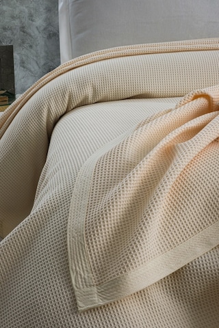 Mulberry Klimalı Pike %100 Pamuk Petekli Pike Dörtmevsim Pike Çift Kişilik 220 x 240 Krem