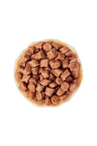 Pouch Kitten Sterilised Gravy Yavru Kedi Konservesi 85 Gr