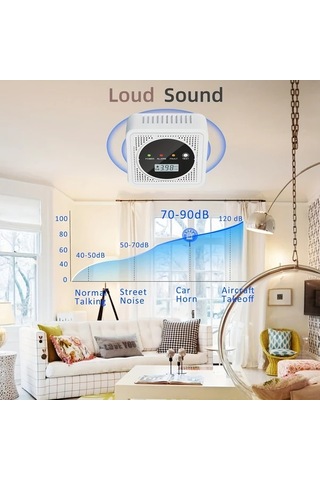 Willowhaven 2 Adet Duman Ve Karbonmonoksit Dedektörü Pil İle Çalışan Dijital Ekranlı Çift Sensörlü