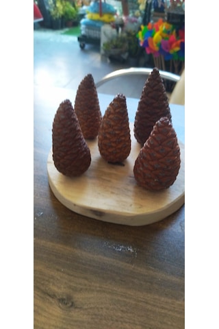 3 Kg Doğal Elenmiş Bahçe Toprağı Saksı Toprağı Çiçek Toprağı Bitki Toprağı Kaktüs Sukulent Bonsai İçin Uygun 5 Adet Dekoratif Açmamış Kozalak Hediyeli
