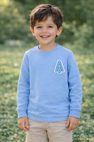 Tanem Kids Erkek Çocuk Jakarlı Mavi Örme Sweatshirt Mavi